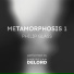 DeLord