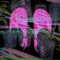 CrocsNSocks