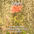 Nico Kirff, Rain Sounds, Nature Sounds
