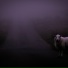 nøave