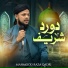 Mahmood Raza Qadri