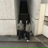 VO&DA