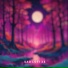 lofi kide