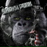 Shaka Ponk