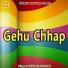 Vikash Halchal