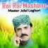 Master Jalal Leghari