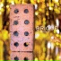 Brique