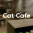 CatiReel