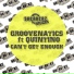 Groovenatics Feat. Quintino