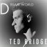 Ted Bridge