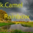 K.camel