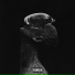 TumaniYO