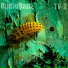 RadioRap3