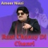 Ameer Niazi
