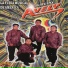 Grupo Avely