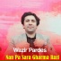 Wazir Pardes