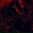 XVXID