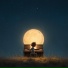 LUNIMO