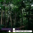 The Lost Lullabies