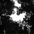 SOULOC8