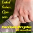 Carl von Breydin