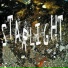 STARLIGHT