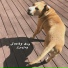 Jacky Boy