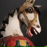 ZIONYX