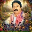 Dengbej Zahiro