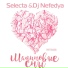 Selecta, Dj Nefedya