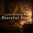 Relaxing BGM Project