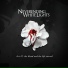 Neverending White Lights feat melissa auf der maur