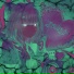 Zetsubou P Remix by DimmM