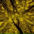 Omnispace
