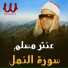 Sheikh Antar Musalam