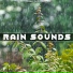 Sleep Rain Memories