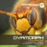 Dyamorph
