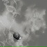 Rats On Rafts