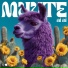 muute