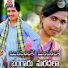 Anapuram Ramesh
