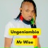 MR WISE