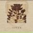 Otseä