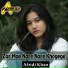 Afridi Khan