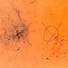 CircleX