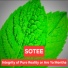 Sotee
