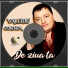 Valeriu Cornea