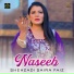 Shehzadi Saira Faiz