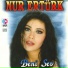 Nur Ertürk
