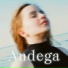 Andega