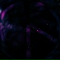 SWΔMP T0ΔD